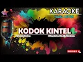 Download Lagu KODOK KINTEL KARAOKE || NADA CEWEK