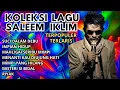 Download Lagu Full Album SALEEM IKLIM Malaysia - Lagu Malaysia Lama Populer, SUCI DALAM DEBU, LAGU MALAYSIA GALAU