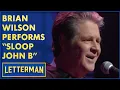 Download Lagu Brian Wilson Performs \