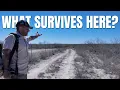 The Botanist with 500K Fans Who Bought the Rarest Ecosystem in Texas