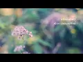 หนึ่งคนพิเศษ : พัดชา เอนกอายุวัฒน์ (พัดชา AF2)