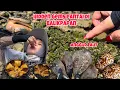 Download Lagu BARU TAU DI BALIKPAPAN ADA PANTAI BEGINI‼️Ketemu Semua Biota Laut Yang Diimpikan MP3