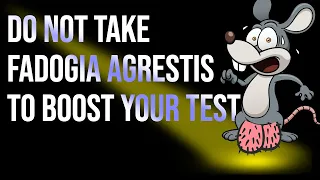 Why you should not take this Testosterone Booster Supplement Fadogia Agrestis as seen on Joe Rogan