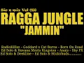 Lagu Sic n Mix Vol 088 Ragga Jungle - Jammin' (2011-25)