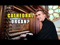 Finding the best organ in the World!!