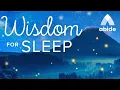 Fall Asleep with Wisdom Abide Meditation by James Restful Nights