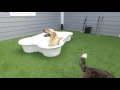 New Member City Line Veterinary Center