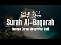 Lagu SURAH AL BAQARAH | Devil Run Away from Home | Calming the Heart and Mind | Ismail Al Qadi