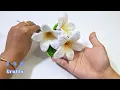 How to Make White Plumeria Blooms with Pipe Cleaners