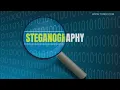 Steganography Fundamentals Training How to Hide Secret Messages in Images and s