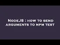 NodeJS how to send arguments to npm test