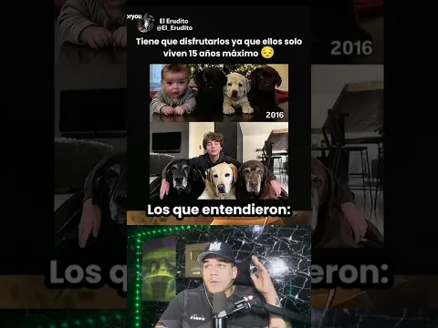 Los Que Entendieron☠️😓