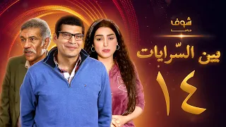 مسلسل بين السرايات الحلقة 14 باسم سمرة روجينا سيد رجب 
