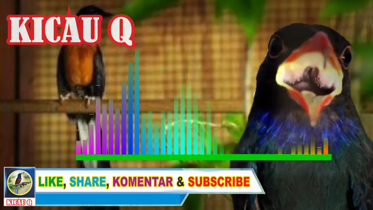 
          
          
          
            
            Suara Pancingan Burung Murai Batu Gacor Full Isian Tengkek Buto MP3 | KICAU Q
          
        . 