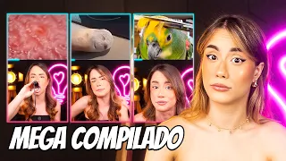 MEGA COMPILADO - OS MELHORES VÍDEOS DA GIULIANA MAFRA