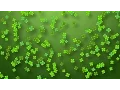 Free St Patrick s Day Background Loop - Green Shamrocks
