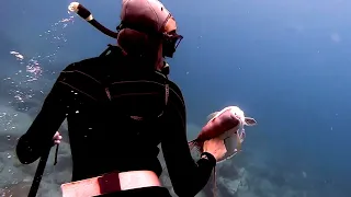 Solo Sailor Girl Brings Home The BACON! Spearfishing and a big Hogfish!