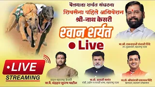 श्रीनाथ केसरी श्वान स्पर्धा LIVE