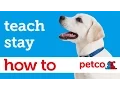 How to Train Your Dog to Stay Petco