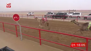 الشوط 11 شاهين لـ سيف سالم بن حمد الدرعي 1 45 44 شارة الصندوق 2025 03 15 فطامين الرقيعات 