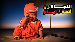 توأم الذكاء الاصطناعي النجاة لمدة 7 ايام على الجزيرة اليوم الأول 