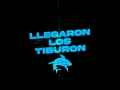 Llegaron los Tiburon - Franco Giorgi