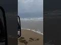 High tide today for our morning trip down the South Padre beach