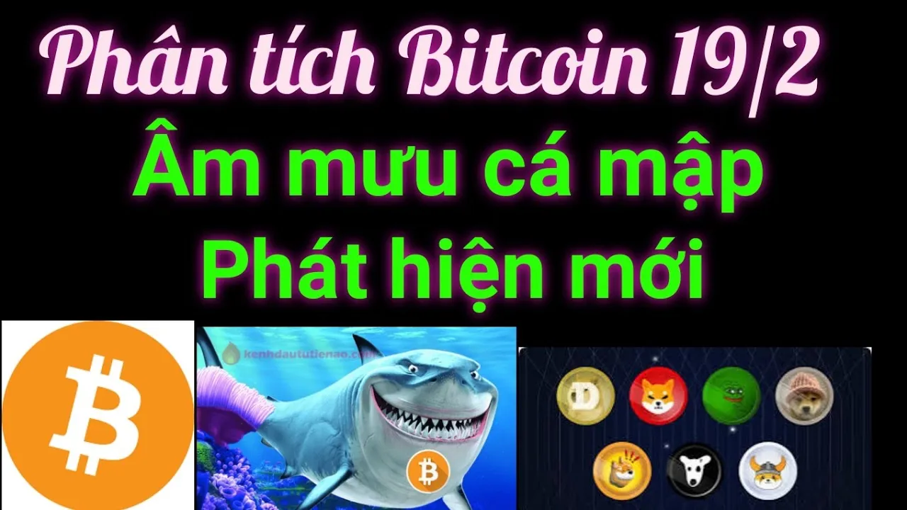 Outline Video Phân tích bitcoin altcoin hôm nay ngày 19/2 cập nhật thị trường crypto mới nhất hôm nay