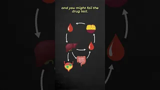 Certo Detox Drawback What Nobody Tells You