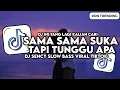 Lagu DJ SENCY - SAMA SAMA SUKA TAPI NUNGGU APA SLOW BASS VIRAL TIKTOK