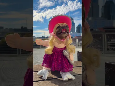 Send this to someone who loves pugs and Dolly ๐ #pug #dollyparton #halloween