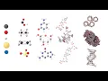 The Chemistry of Life Basics