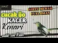 Download Lagu Sirtu hacor full isian mewah, cucak ijo, kader kenari. Sangat cocok untuk masteran