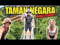 Download Lagu UK Family Explores the Taman Negara Jungle Canopy Walk | Malaysia’s Epic Rainforest Adventure