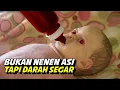 BAYI VAMPIRE ‼️😱 - Alur Cerita Film GRACE (2009)