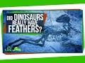 Did Dinosaurs Really Have Feathers