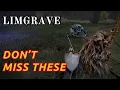 Three Limgrave Dungeons Most Beginners Skip Elden Ring Beginner Guide