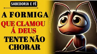 Perguntei á Deus Porque Tanto Sofrimento – A Formiga que Clamou á Deus  - Reflexão - Motivação - Fé
