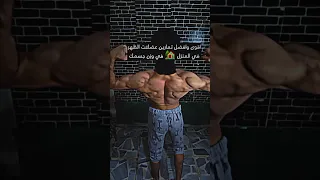 افضل تمارين عضلات الظهر في المنزل     دندنها