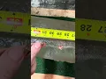 35 Whelen - 173gr mcguire Ballistics copper bullet vs gel block
