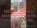 Lagu Momen Ketika Mama Mergokin Aku Lagi Begadang #meme #kucing #kucinglucu #memes #hiburanmeme