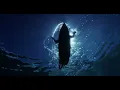 Jack Johnson "Meet The Moonlight" (Official Video)