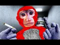 Gorilla Tag Knockoffs Are COOKED