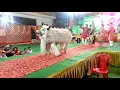 Download Lagu Akash Anjana Jhanki Group (Etawah) mo. 8410141215