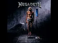 Megadeth -  Skin O' My Teeth (Natural Eb Tuning)