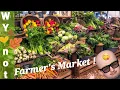 Casper Wyoming Last Farmer s Market of Season Bonus Casper Mountain Fall Footage