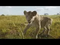 I Always Wanted A Brother (From "Mufasa"/Extract Video) - Braelyn Rankins Theo Somolu ..
