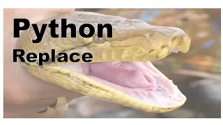 645-Python - Replace Method
