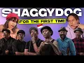 Lagu WHO ARE SHAGGY DOG!?! Musicians react to 'Shaggy Dog for the first time