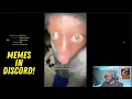 Memes In Discord
